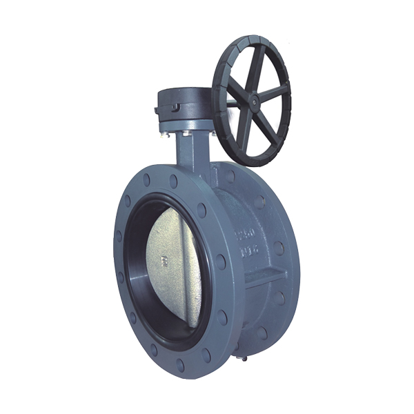 890D Series of butterfly valve